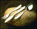 flatware